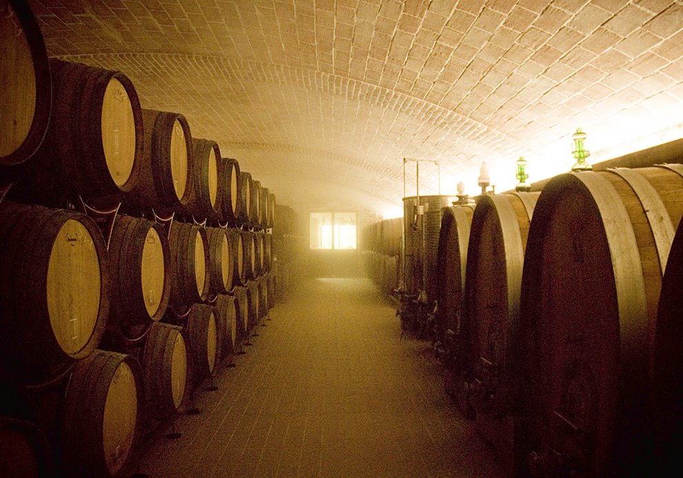 Cellar