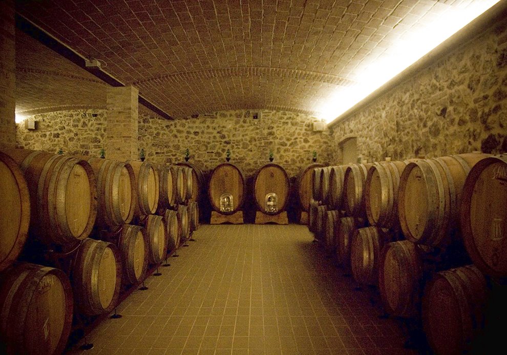 Cellar