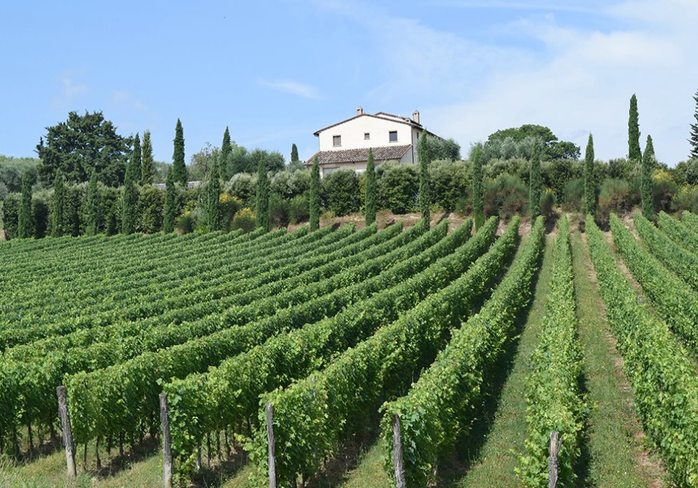 VACANZA BENESSERE IN TOSCANA
Scegli Le Buche Wine Resort&Spa