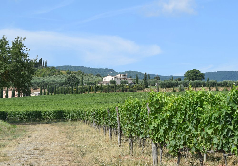 CERCHI UNA VACANZA CON TRATTAMENTI BENESSERE? 
Scegli Le Buche Wine Resort&Spa