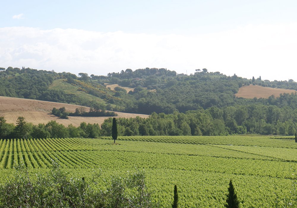 HOLIDAYS SPRING IN TUSCANY
Visit the Val d'Orcia