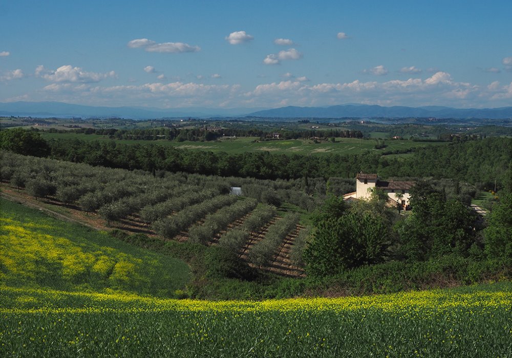 A SETTEMBRE SCEGLI LA TOSCANA
Vacanze con esperienza fra i vigneti