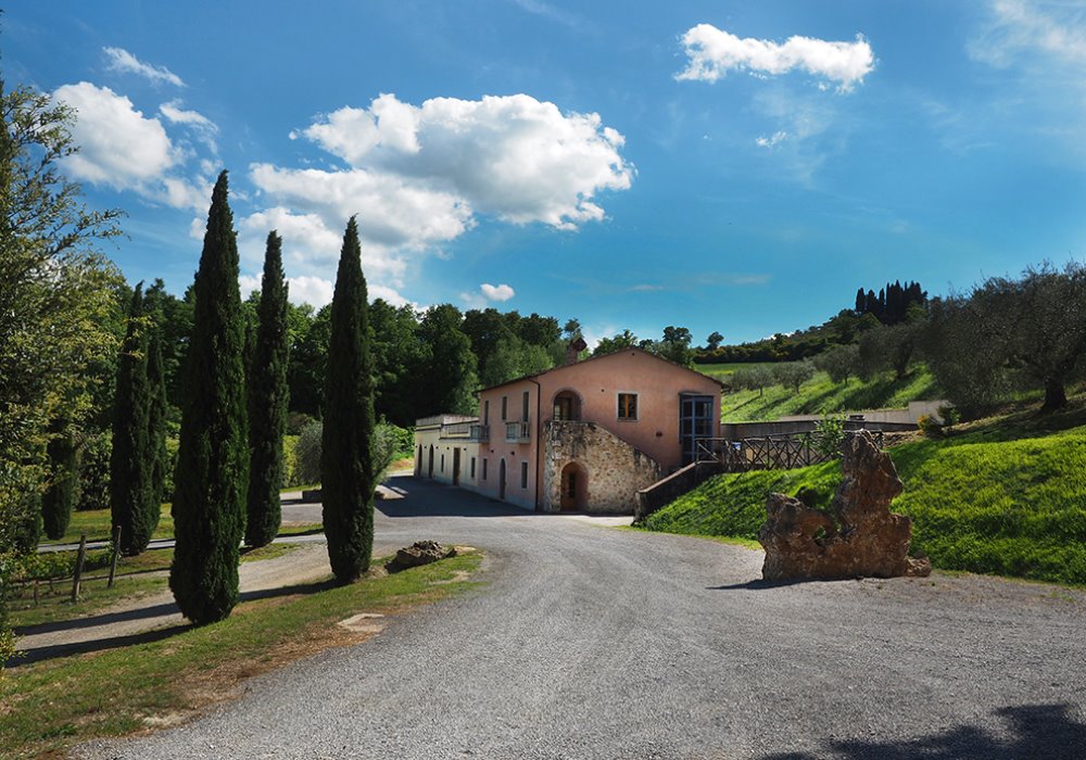 PROGRAMMARE UNA VACANZA IN CANTINA
Vacanze per amanti del vino in Toscana